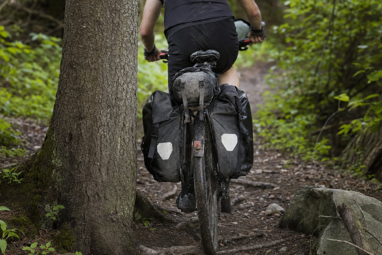 A touring bike loaded with wide rear panniers navigating a narrow, root-crossed singletrack trail, one pannier brushing a tree trunk